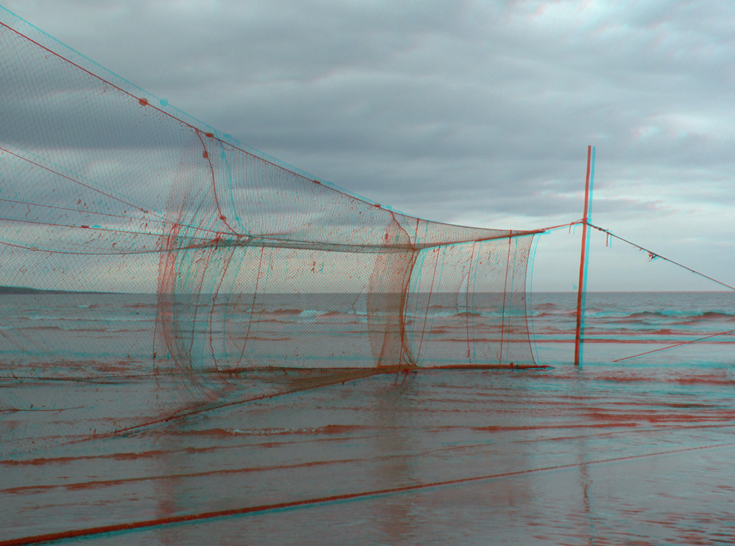 net 30